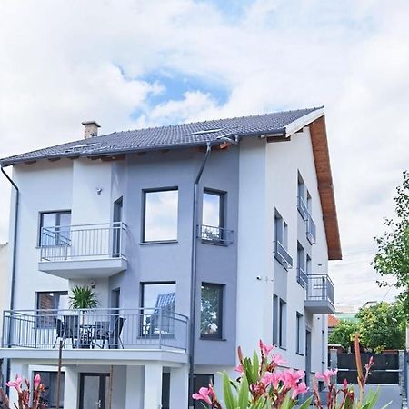 Silver Eden Apartments 克卢日-纳波卡 外观 照片