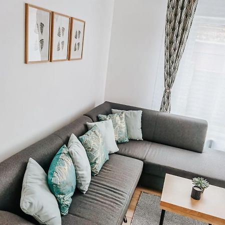 Silver Eden Apartments 克卢日-纳波卡 外观 照片