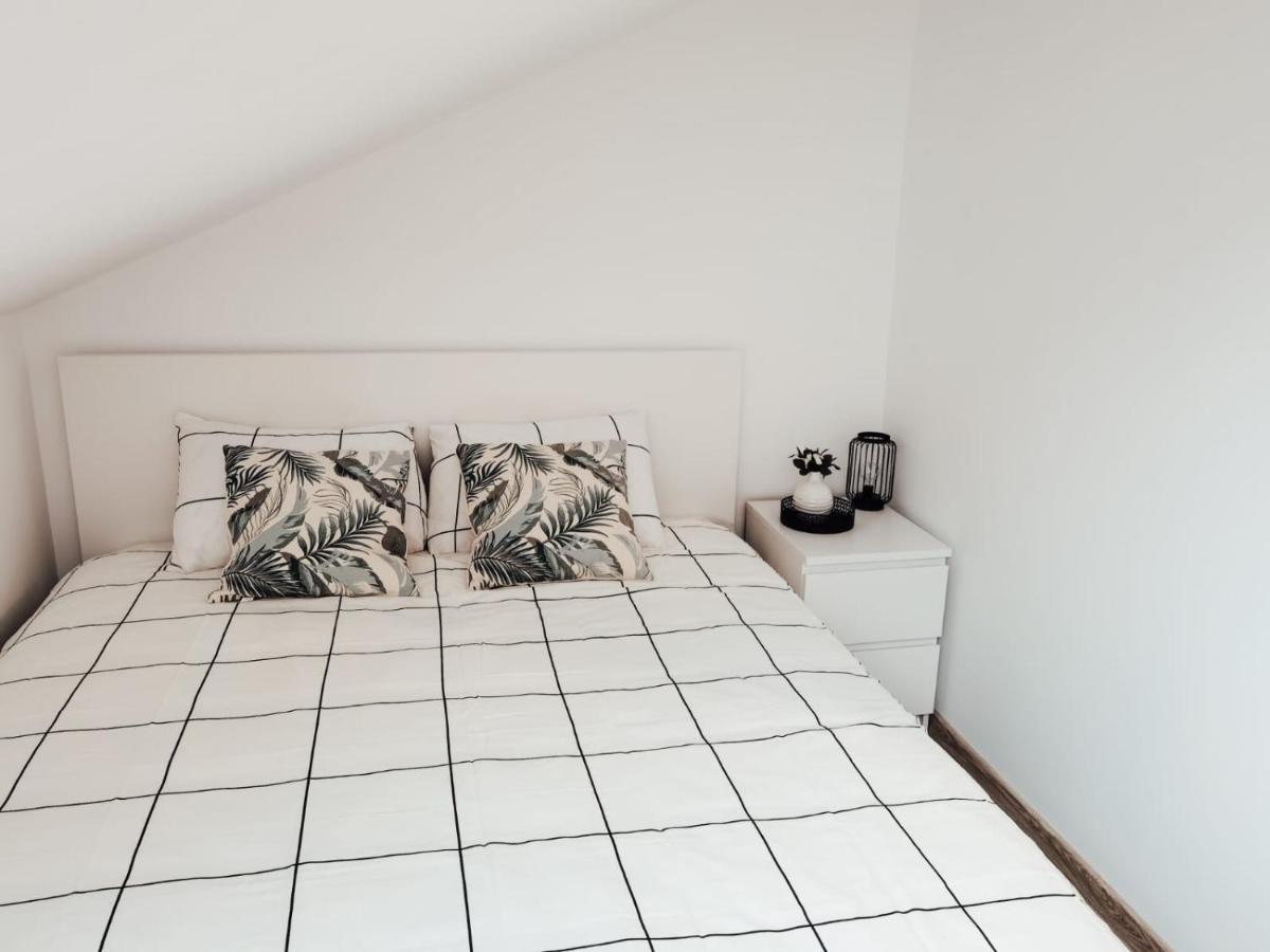 Silver Eden Apartments 克卢日-纳波卡 外观 照片