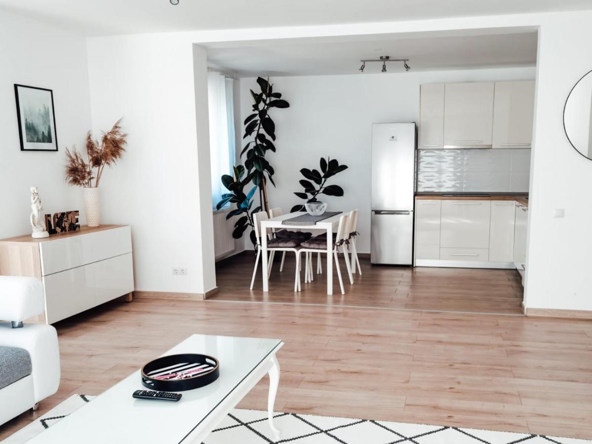 Silver Eden Apartments 克卢日-纳波卡 外观 照片
